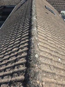 préparer toiture avant l’hiver - toiture avec mousses et lichens avant nettoyage